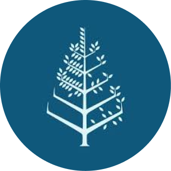 kyub Logo